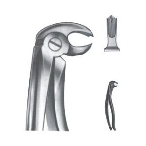 Extracting Forceps - English Pattern