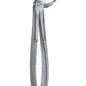 Extracting Forceps - English Pattern