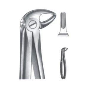 Extracting Forceps - English Pattern