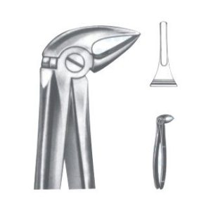 Extracting Forceps - English Pattern