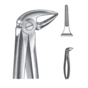 Extracting Forceps - English Pattern