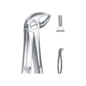 Extracting Forceps - English Pattern