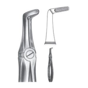 Extracting Forceps - English Pattern