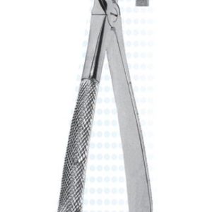 Extracting Forceps - English Pattern