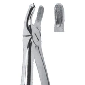 Extracting Forceps - English Pattern