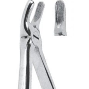 Extracting Forceps - English Pattern