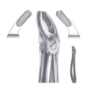 Extracting Forceps - English Pattern