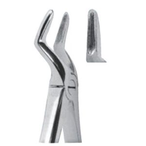 Extracting Forceps - English Pattern