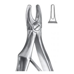Extracting Forceps - English Pattern