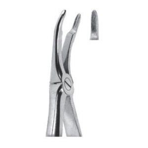 Extracting Forceps For Children - English Pattern