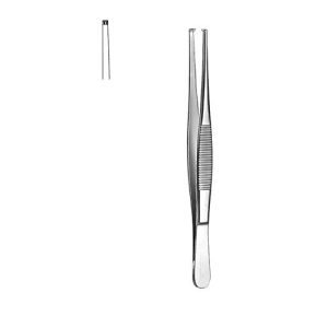 Dissecting Forceps