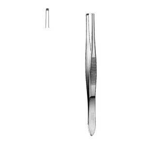 Dissecting Forceps