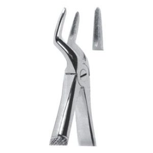 Extracting Forceps For Children - English Pattern