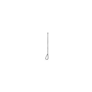 Ear Probe