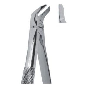 Extracting Forceps - English Pattern