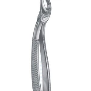 Extracting Forceps - English Pattern