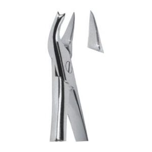 Extracting Forceps - English Pattern