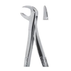 Extracting Forceps - English Pattern
