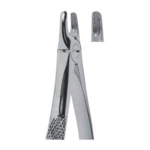 Extracting Forceps - English Pattern