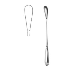 Placenta Scoop