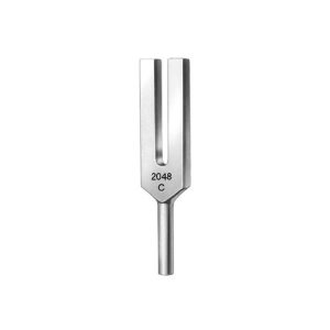 Tuning Fork