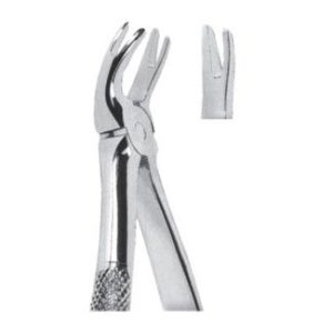 Extracting Forceps - English Pattern