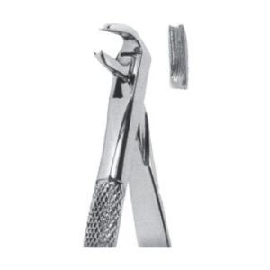 Extracting Forceps - English Pattern