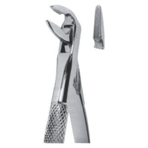 Extracting Forceps - English Pattern