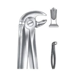 Extracting Forceps - English Pattern