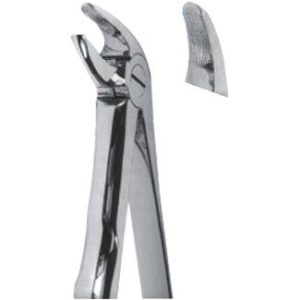 Extracting Forceps - Mead Pattern